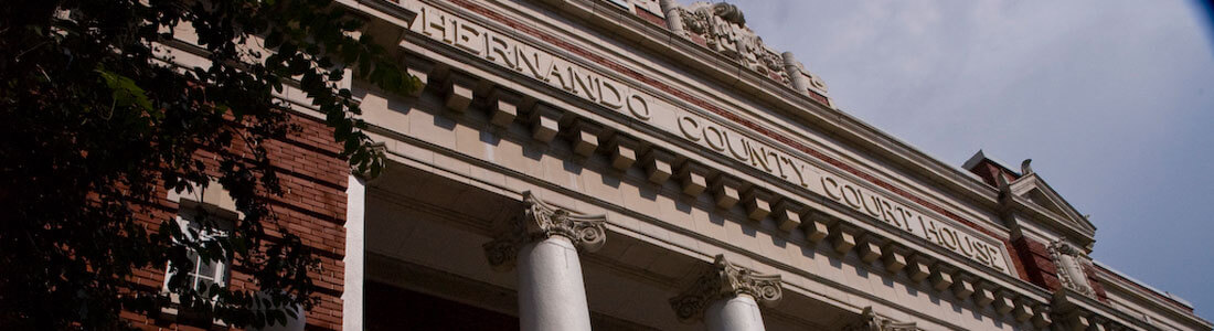 government law banner 1
